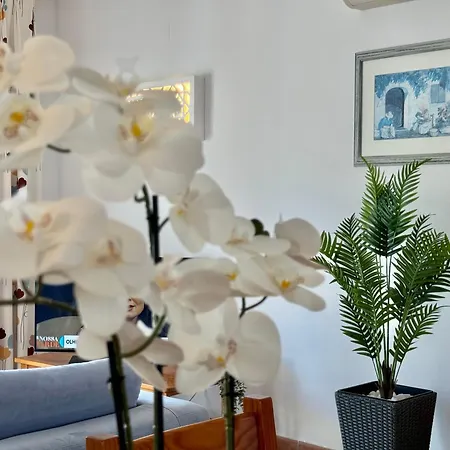 Apartment Grupo Morgado - Quinta Do Morgado - Morgado Luxury Tavira